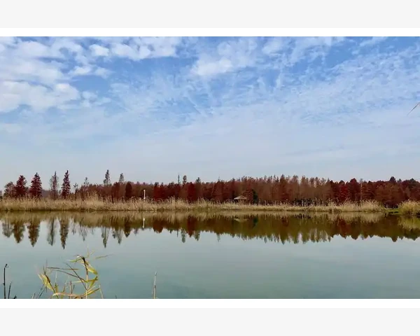 中医药治疗脾胃虚弱 拯救我们珍贵的消化力