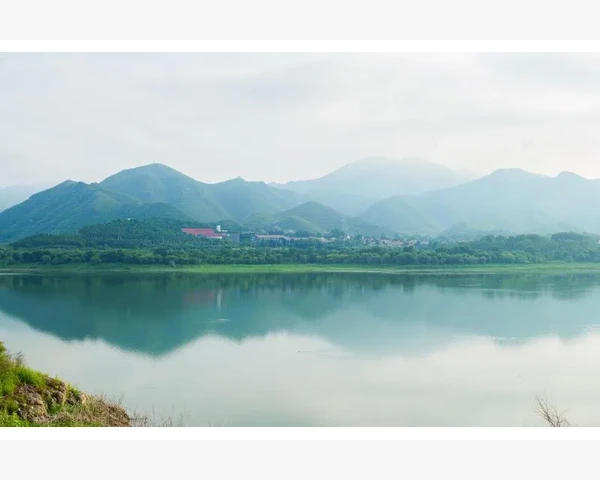 脾胃虚弱与脚臭之间的隐秘关系